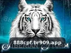 888cpf visual 2